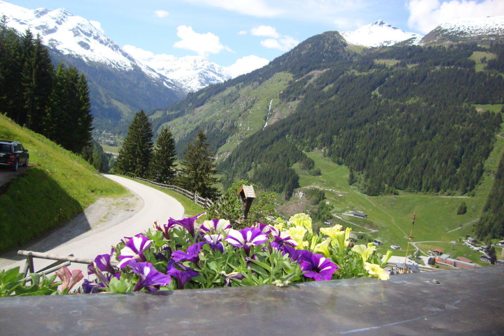 Schachengut Villa Bad Gastein Rom bilde