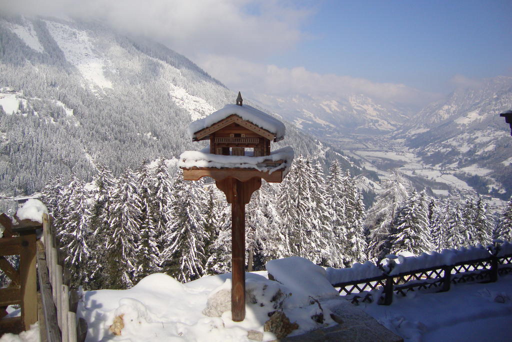 Schachengut Villa Bad Gastein Rom bilde